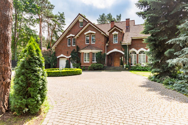 Best Driveway Paving Contractor  in Whitesboro, AL